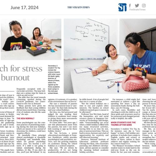 Straits Times Clip