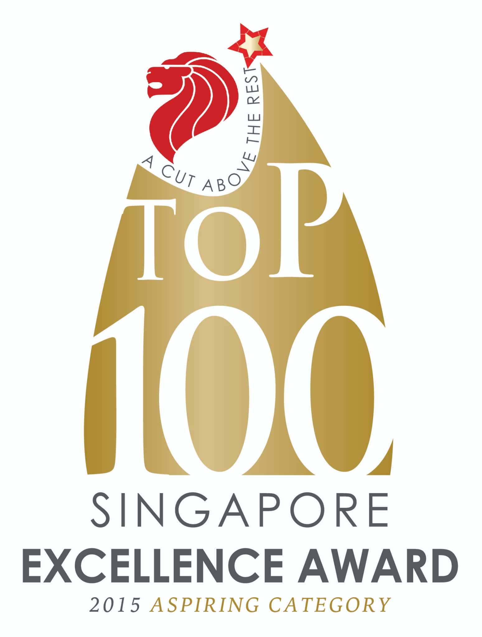 Top 100 Singapore Excellence Award